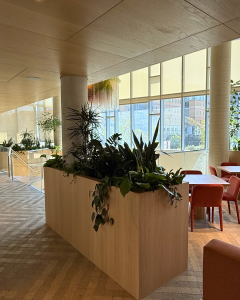 Decorative plants for the lobby area of a new apartment complex
