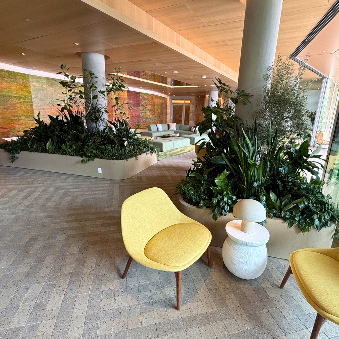 Decorative plants for the lobby area of a new apartment complex