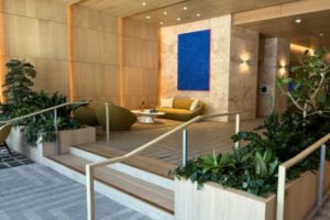 Interior Plant Design Services for Enhancing Commercial Office Environments