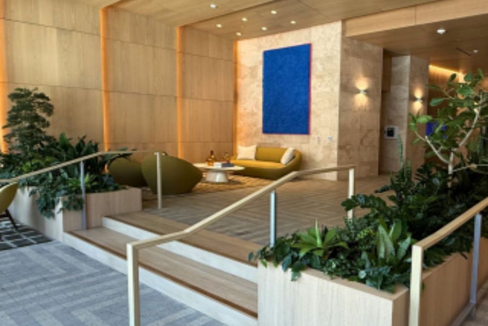 Interior Plant Design Services for Enhancing Commercial Office Environments