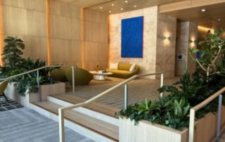 How Indoor Plant Leasing Makes Commercial Spaces Easier to Maintain
