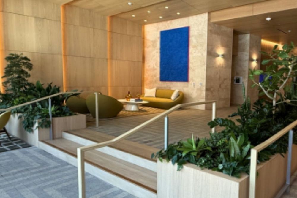 How Indoor Plant Leasing Makes Commercial Spaces Easier to Maintain