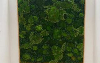 How Moss Wall Fireproofing Helps Protect Your Decorative Wall Investment