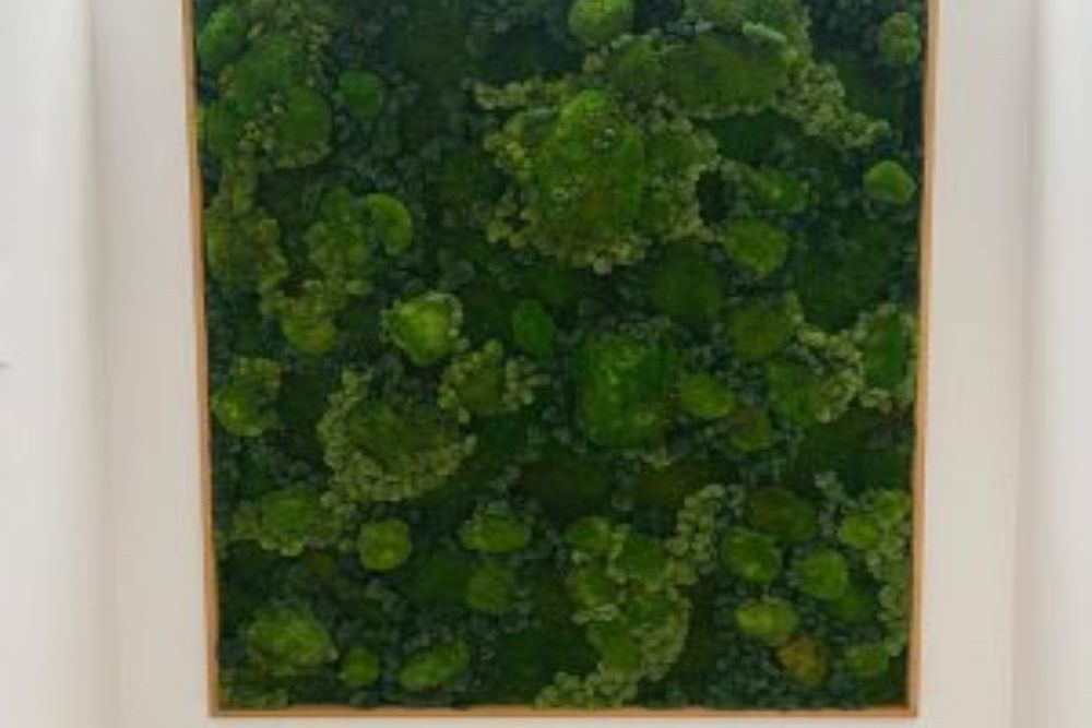 How Moss Wall Fireproofing Helps Protect Your Decorative Wall Investment
