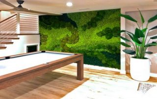 How Preserved Moss Walls Can Add Lasting Visual Interest to Commercial Interiors